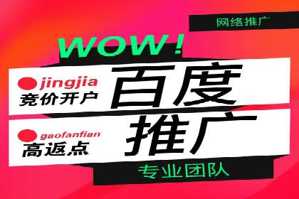 企业如何选择合适的百度推广预算？案例解读